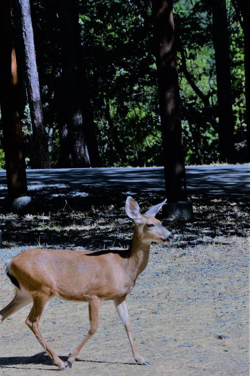 ザ カブ イン B&Bグローヴランド エクステリア 写真
